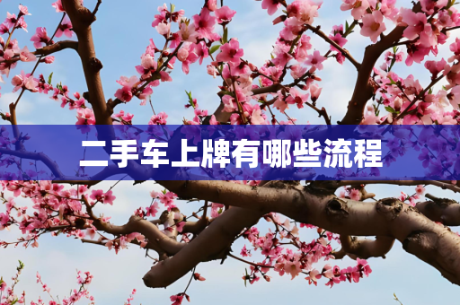 二手车上牌有哪些流程