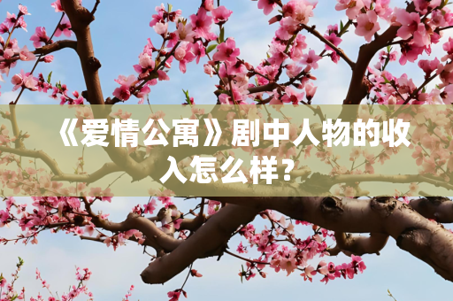 《爱情公寓》剧中人物的收入怎么样？