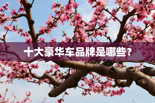 十大豪华车品牌是哪些？