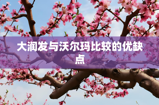 大润发与沃尔玛比较的优缺点