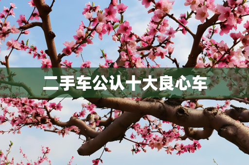 二手车公认十大良心车