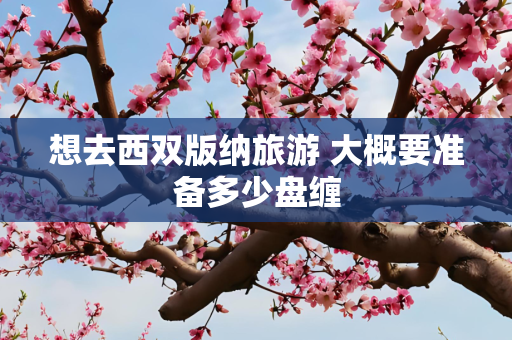 想去西双版纳旅游 大概要准备多少盘缠
