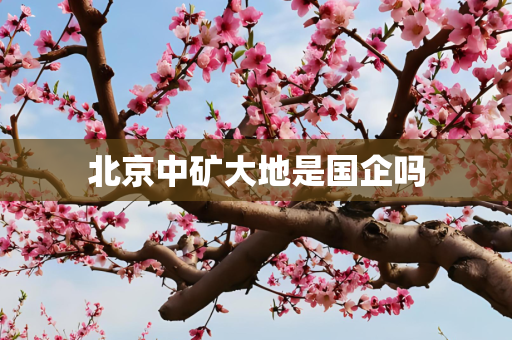北京中矿大地是国企吗