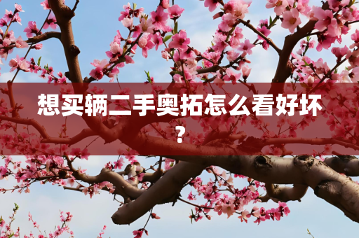 想买辆二手奥拓怎么看好坏?