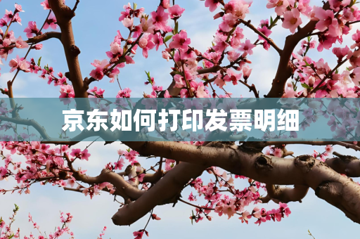 京东如何打印发票明细