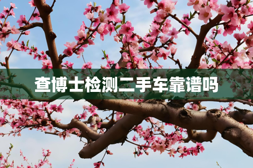 查博士检测二手车靠谱吗