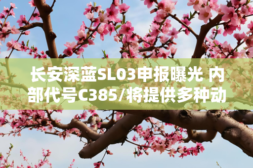 长安深蓝SL03申报曝光 内部代号C385/将提供多种动力版本