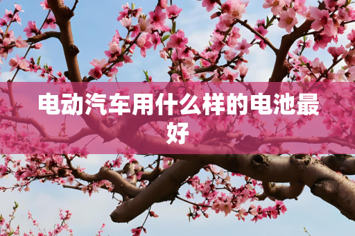 电动汽车用什么样的电池最好
