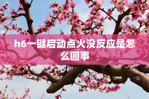 h6一键启动点火没反应是怎么回事
