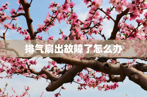 排气扇出故障了怎么办