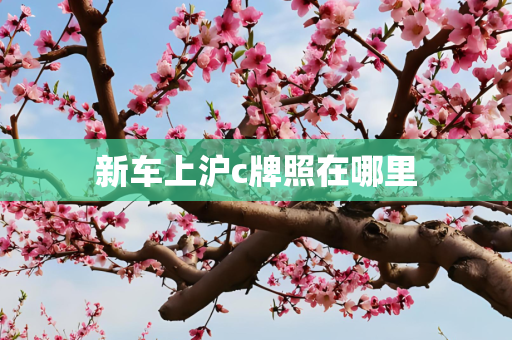 新车上沪c牌照在哪里