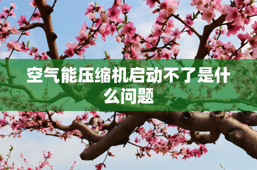 空气能压缩机启动不了是什么问题