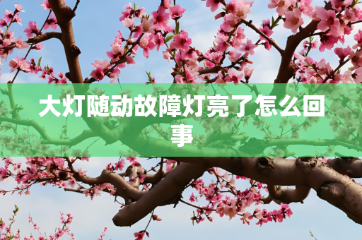 大灯随动故障灯亮了怎么回事