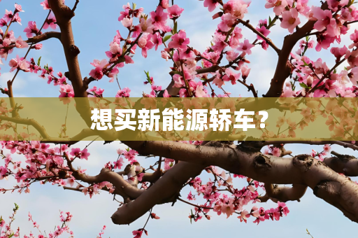 想买新能源轿车？