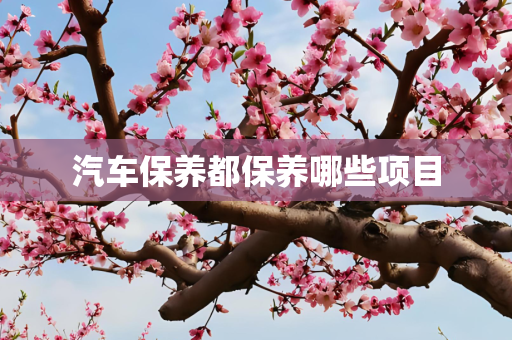 汽车保养都保养哪些项目