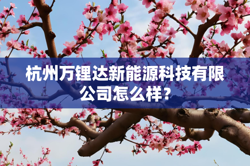 杭州万锂达新能源科技有限公司怎么样？