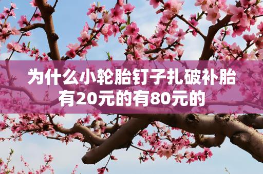为什么小轮胎钉子扎破补胎有20元的有80元的