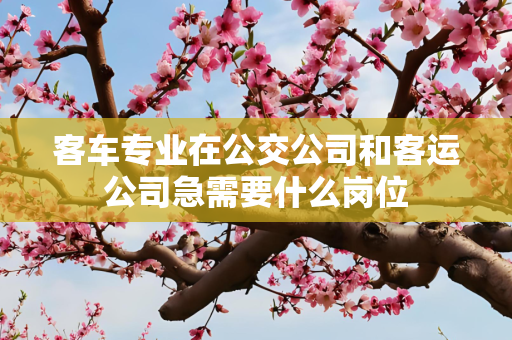 客车专业在公交公司和客运公司急需要什么岗位