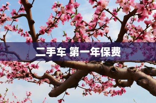 二手车 第一年保费