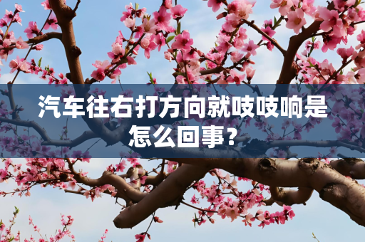 汽车往右打方向就吱吱响是怎么回事？