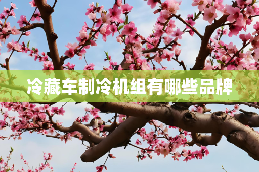 冷藏车制冷机组有哪些品牌