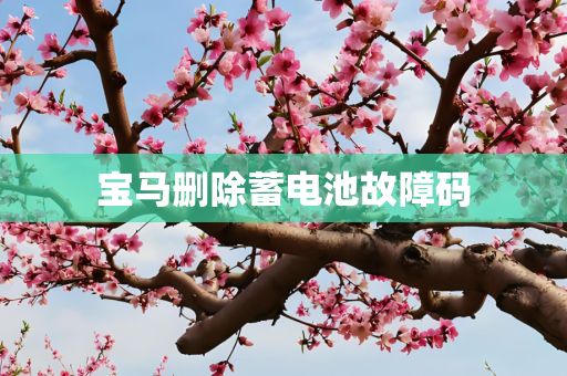 宝马删除蓄电池故障码