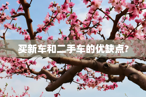 买新车和二手车的优缺点?