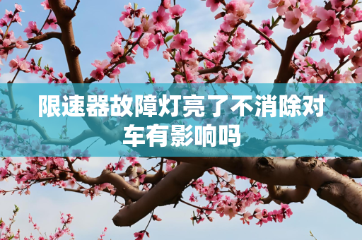 限速器故障灯亮了不消除对车有影响吗