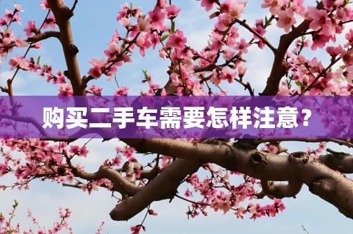 购买二手车需要怎样注意？
