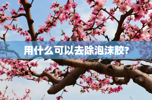 用什么可以去除泡沫胶?