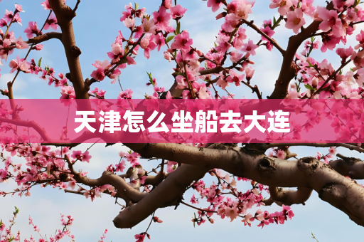 天津怎么坐船去大连