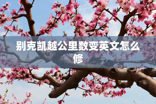 别克凯越公里数变英文怎么修