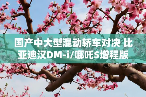 国产中大型混动轿车对决 比亚迪汉DM-i/哪吒S增程版