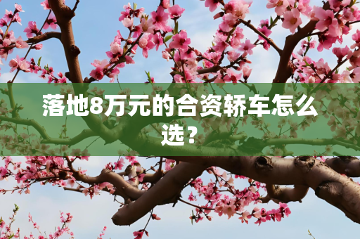落地8万元的合资轿车怎么选？