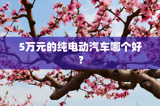 5万元的纯电动汽车哪个好？