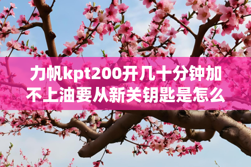 力帆kpt200开几十分钟加不上油要从新关钥匙是怎么回事