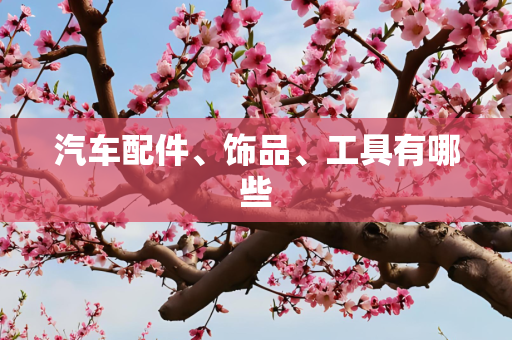汽车配件、饰品、工具有哪些