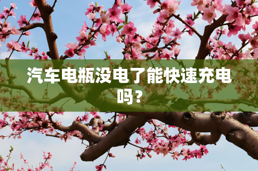汽车电瓶没电了能快速充电吗？