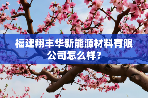 福建翔丰华新能源材料有限公司怎么样？