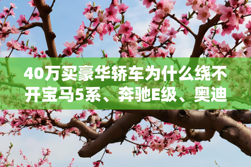 40万买豪华轿车为什么绕不开宝马5系、奔驰E级、奥迪A6L？