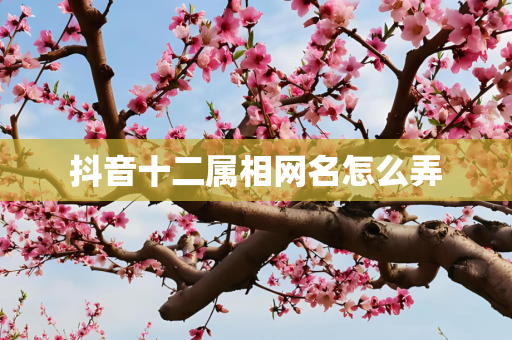 抖音十二属相网名怎么弄
