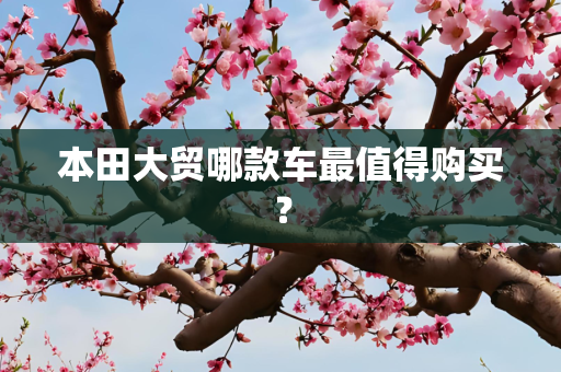 本田大贸哪款车最值得购买？