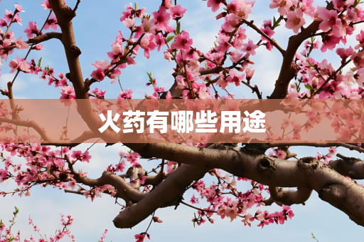 火药有哪些用途