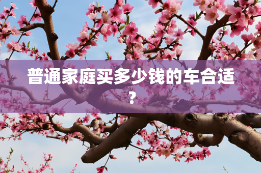 普通家庭买多少钱的车合适？