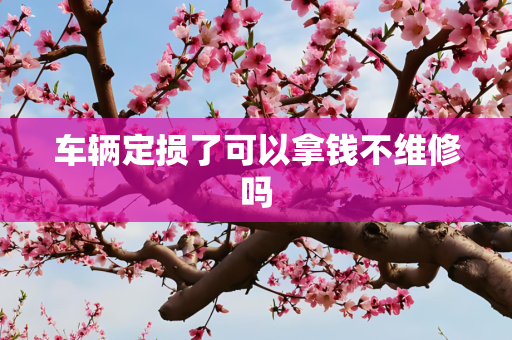 车辆定损了可以拿钱不维修吗