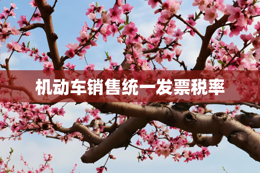 机动车销售统一发票税率