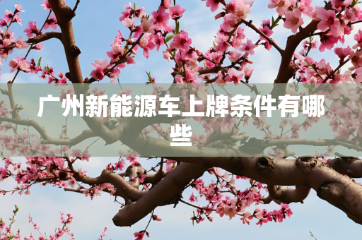 广州新能源车上牌条件有哪些