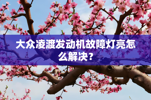 大众凌渡发动机故障灯亮怎么解决？