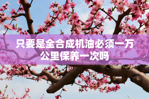 只要是全合成机油必须一万公里保养一次吗