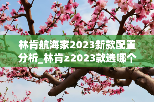 林肯航海家2023新款配置分析_林肯z2023款选哪个配置